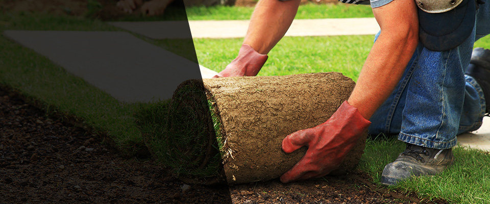 Chesapeake Landscapers